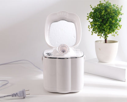 Youthful Use<sup>TM</sup> - Mini Facial Spa