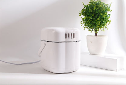 Youthful Use<sup>TM</sup> - Mini Facial Spa